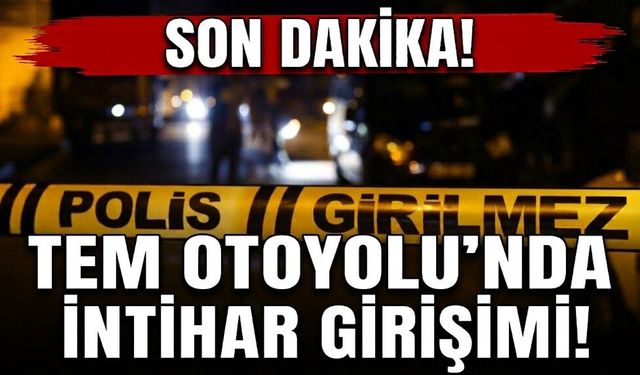 Son Dakika! TEM Otoyolu’ndaki köprüde intihar girişimi
