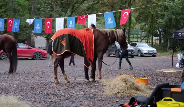Sporun Başkenti Kocaeli'de Heyecan Dört Nala Sürdü