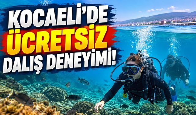 Kocaeli’de ücretsiz dalış deneyimi