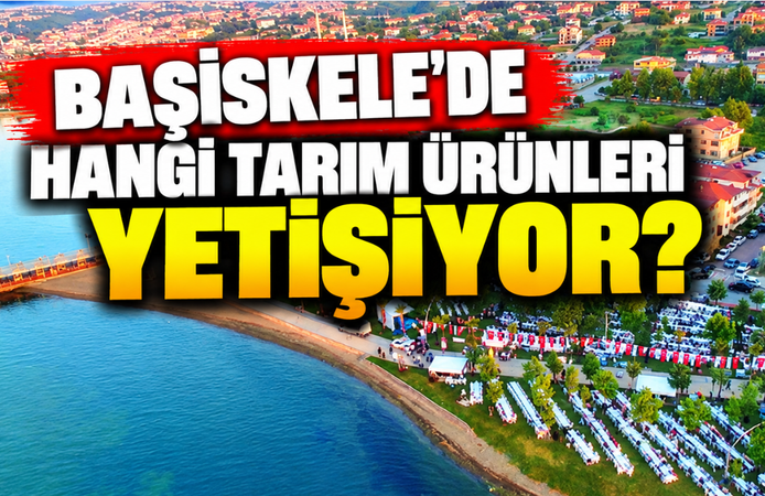 Başiskele'de hangi tarım ürünleri yetişiyor? İşte ilçenin öne çıkan ürünleri!