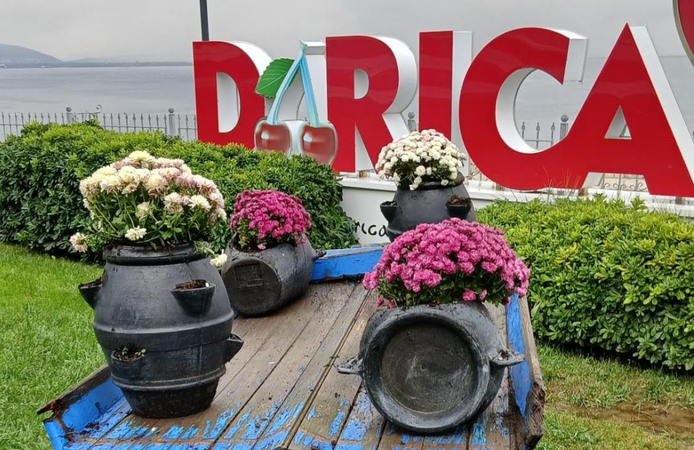 Darıca'da park ve bahçeler çiçeklerle donatılıyor! Şehitliklere özel bakım