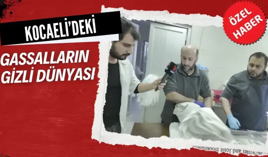 KOCAELİ’DEKİ GASSALLARIN GİZLİ DÜNYASI