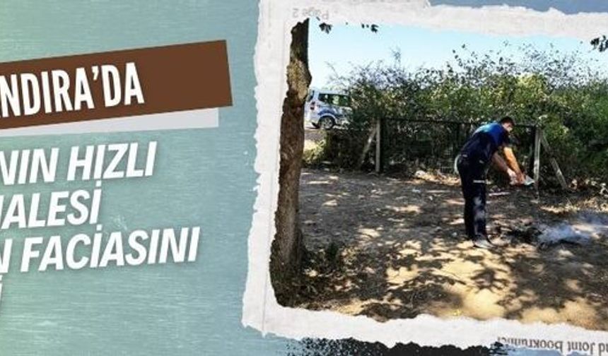 Kandıra zabıtası son anda müdahale ederek orman felaketini önledi