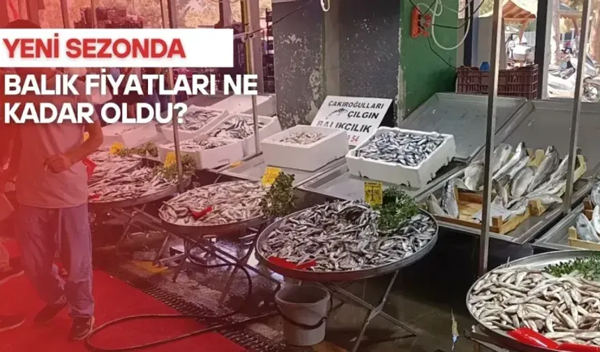 YASAK SONRASI BALIK FİYATLARI NE DURUMDA