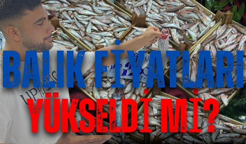 Pazarda balıkların fiyatı mı yükseldi?