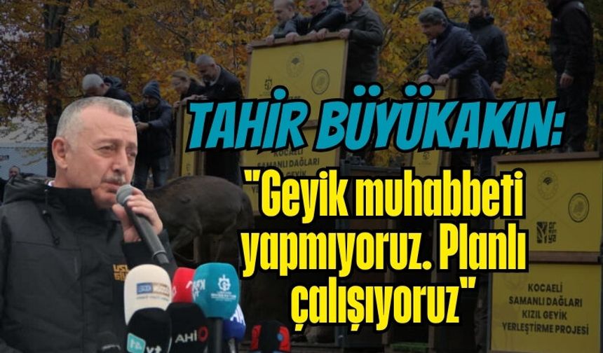 Büyükakın: "Geyik muhabbeti yapmıyoruz."