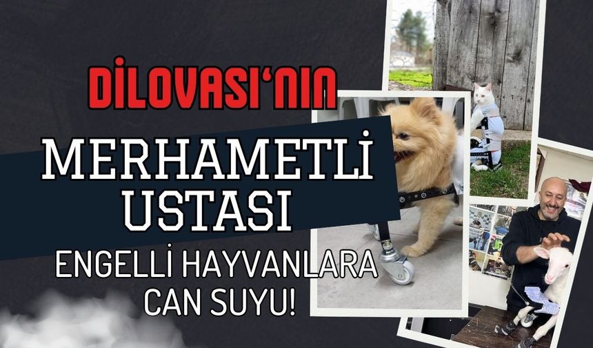Dilovası’nın Merhametli Ustası: Abdülmenaf Çelik’ten Engelli Hayvanlara "Can" Suyu!
