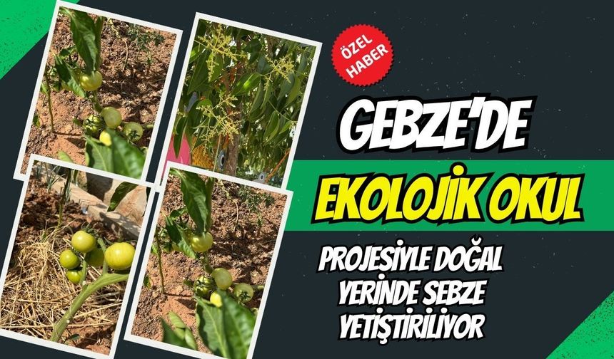 Gebze Barış Mahallesi’nde Eğitim Devrimi: 100. Yıl Ortaokulu’nda Hem Çift Yabancı Dil Hem Ekolojik Bahçe!