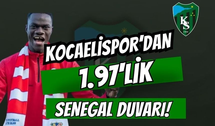 Kocaelispor’dan 1.97'lik Senegal Duvarı! Avrupa’nın Peşindeki Mame Alassane Niang Körfez'in Radarında
