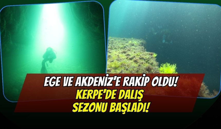Ege ve Akdeniz'e Kocaeli Rakip Oldu! Kandıra Kerpe'de Dev Dalış Sezonu Resmen Başladı