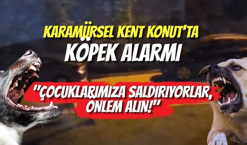 Karamürsel Kent Konut’ta Köpek Alarmı: "Çocuklarımıza Saldırıyorlar, Önlem Alın!"