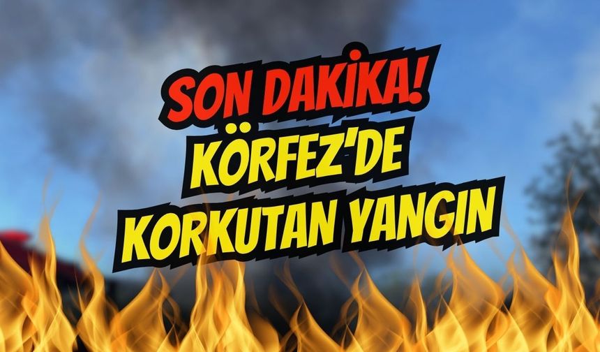 TEM Otoyolu Körfez Mevkiinde Tır Alev Alev Yandı