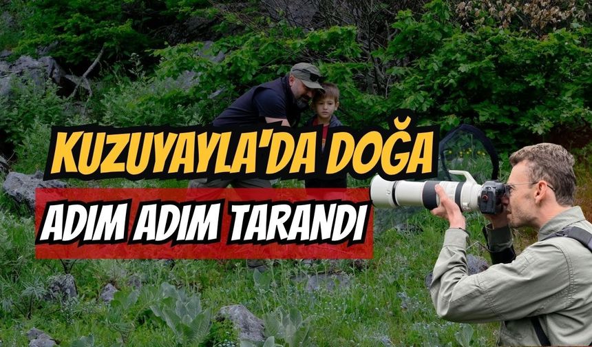 Kuzuyayla'da doğa adım adım tarandı
