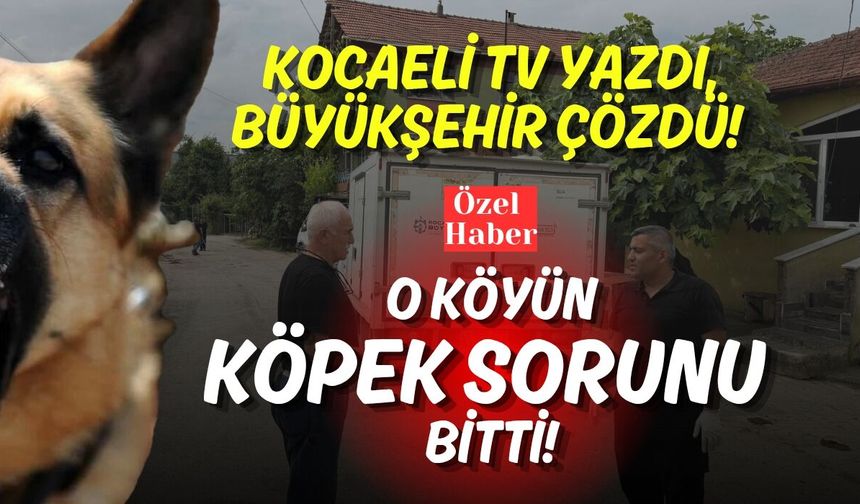 Kocaeli TV Yazdı, Büyükşehir Çözdü: O Köyün Sokak Köpeği Sorunu Bitti!