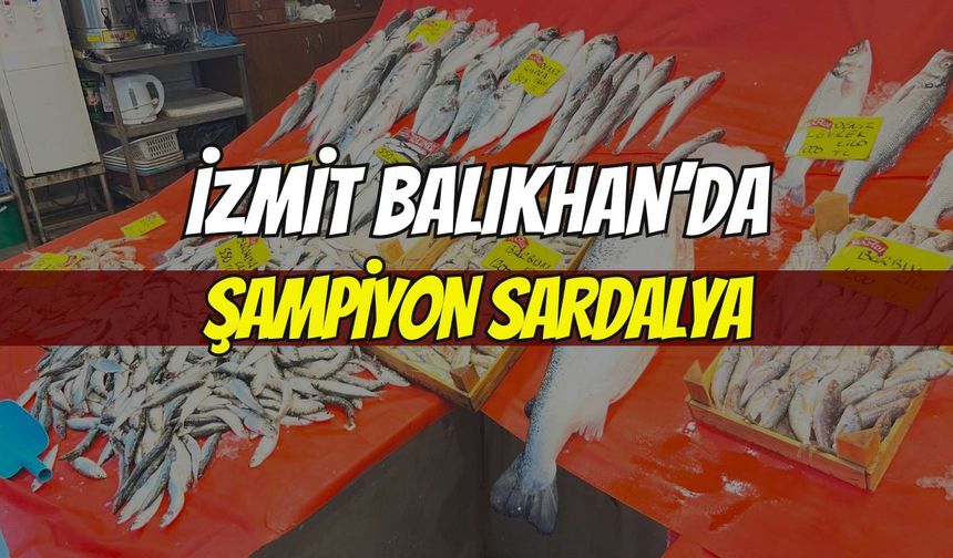 İzmit’te Balıkhan’da Haftanın Şampiyonu Sardalya