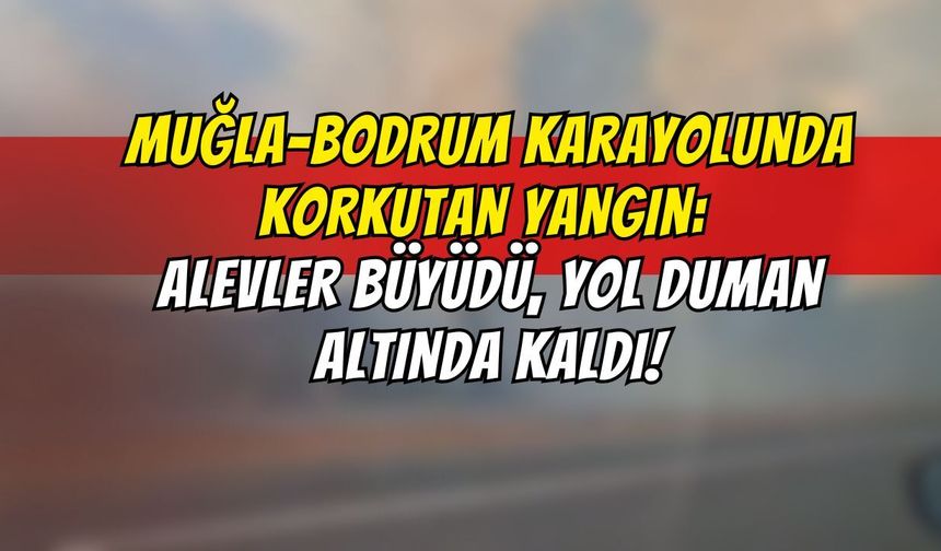 Muğla-Bodrum Karayolunda Korkutan Yangın: Alevler Büyüdü, Yol Duman Altında Kaldı!