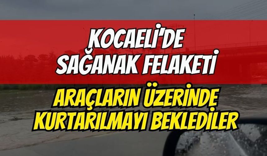 Kocaeli'nde sağanak felaketi! Araçların üzerine çıkıp kurtarılmayı beklediler