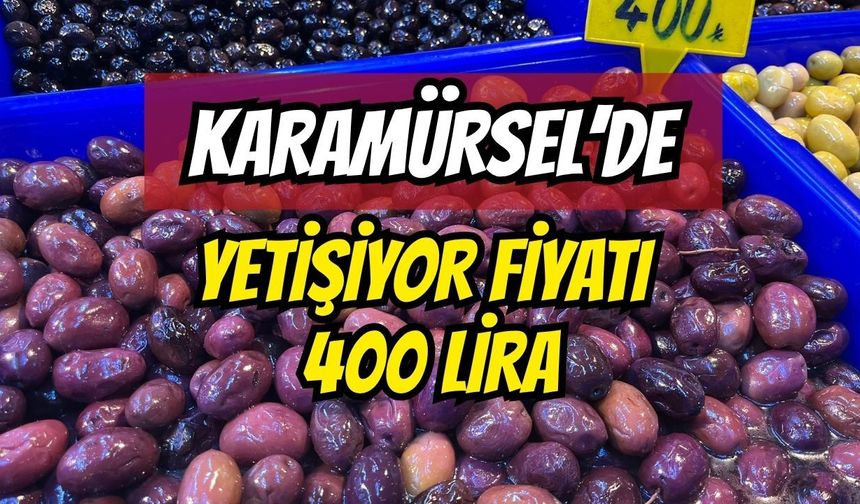 Karamürsel'de yetişiyor fiyatı 400 lira işte o ürün
