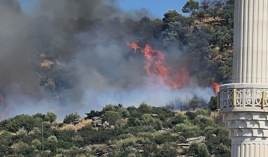Kocaeli Valiliği'nden Gebze Yangını Duyurusu