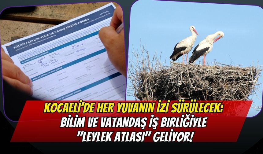 Kocaeli’de Her Yuvanın İzi Sürülecek: Bilim ve Vatandaş İş Birliğiyle "Leylek Atlası" Geliyor!