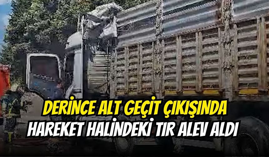 Derince Alt Geçit Çıkışında Hareket Halindeki Tır Alev Aldı
