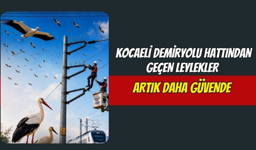 Kocaeli Demiryolu Hattından Geçen Leylekler Artık Daha Güvende