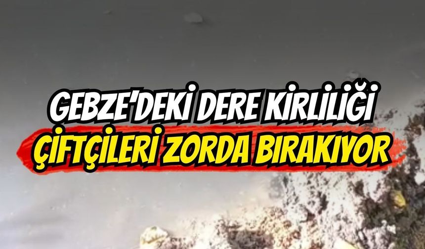 Gebze’de ki dere kirliliği çiftçileri zorda bırakıyor