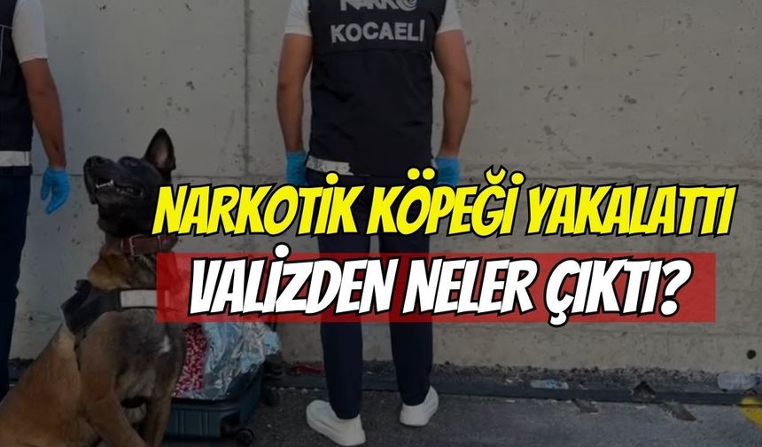 Narkotik köpeği yakaladı: Valizden 21 bin ecza çıktı