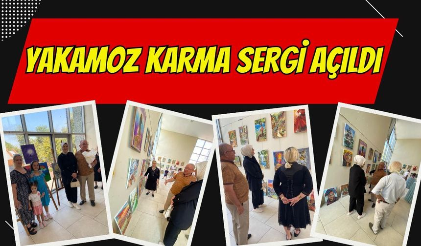 Gölcük'te Yakamoz Karma Resim Sergisi Sanatseverlerle Buluştu