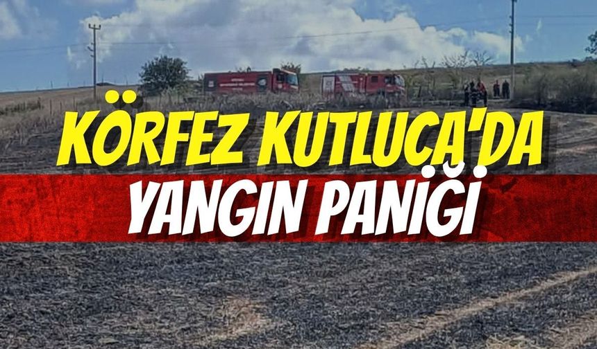 Körfez Kutluca Köyünde Yangın Paniği