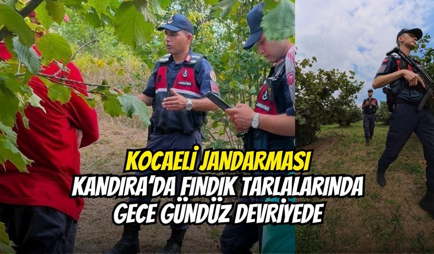 Kocaeli Jandarması Kandıra’da Fındık Tarlalarında Gece Gündüz Devriyede