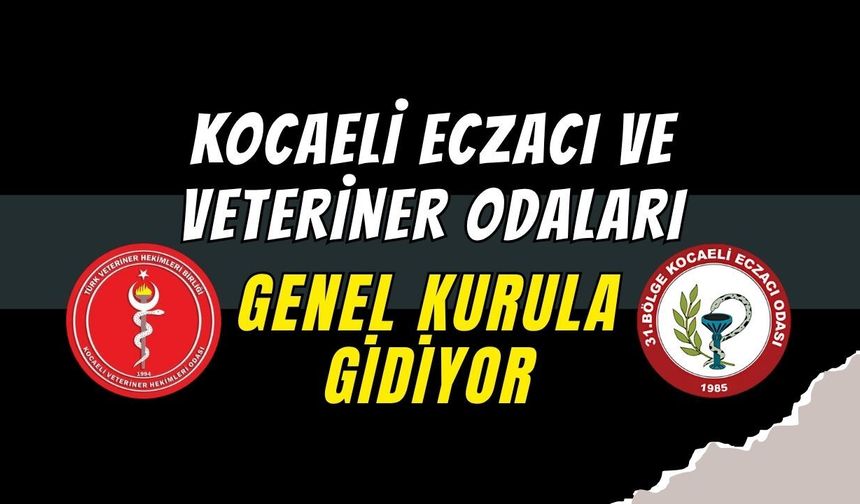 Kocaeli Eczacı ve Veteriner Odaları Genel Kurula Gidiyor