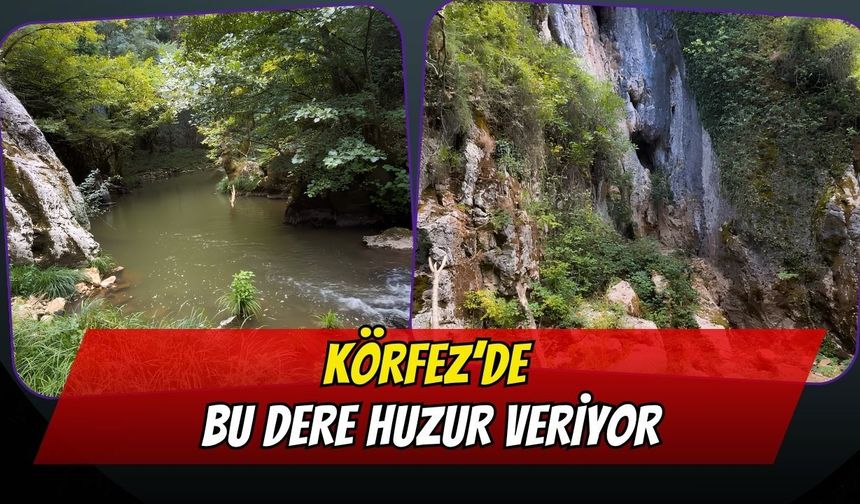 Körfez’de Doğayla İç İçe Rota