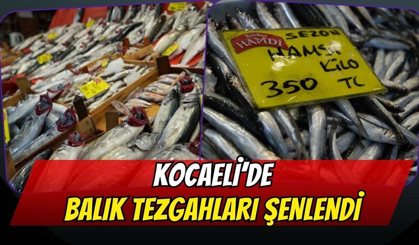 Kocaeli'de Balık Tezgahları Şenlendi