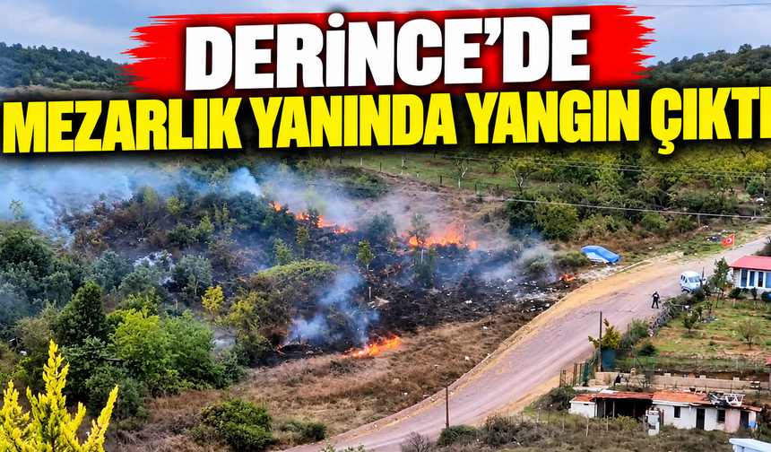 Derince’de mezarlık yanında yangın çıktı
