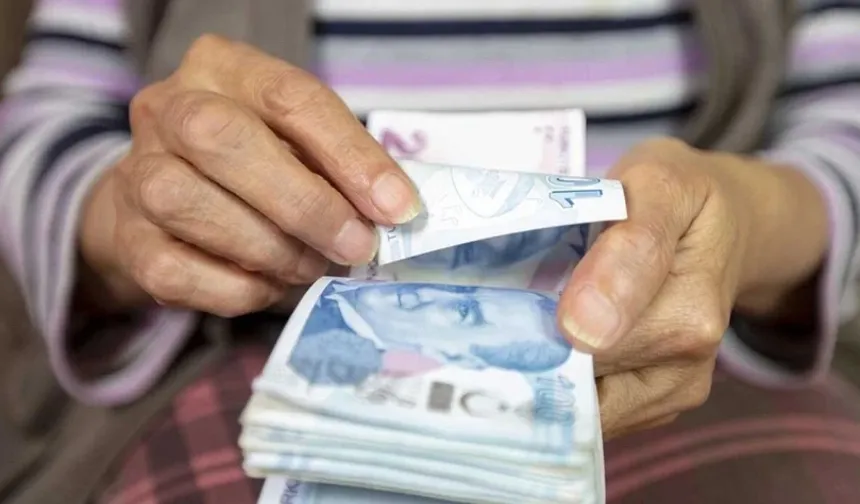 Vatandaşlık maaşı için geri sayım başladı: Uzman isim başvuru şartlarını açıkladı