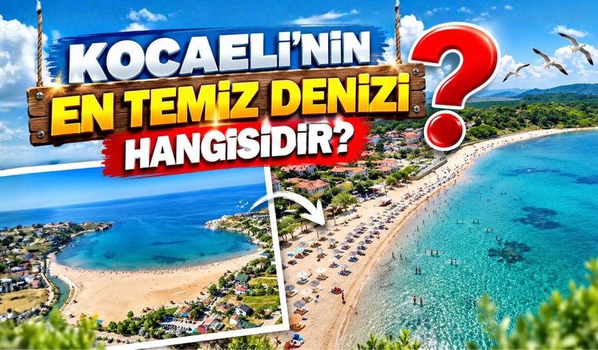 Kocaeli'nin En Temiz Denizi Hangisidir?