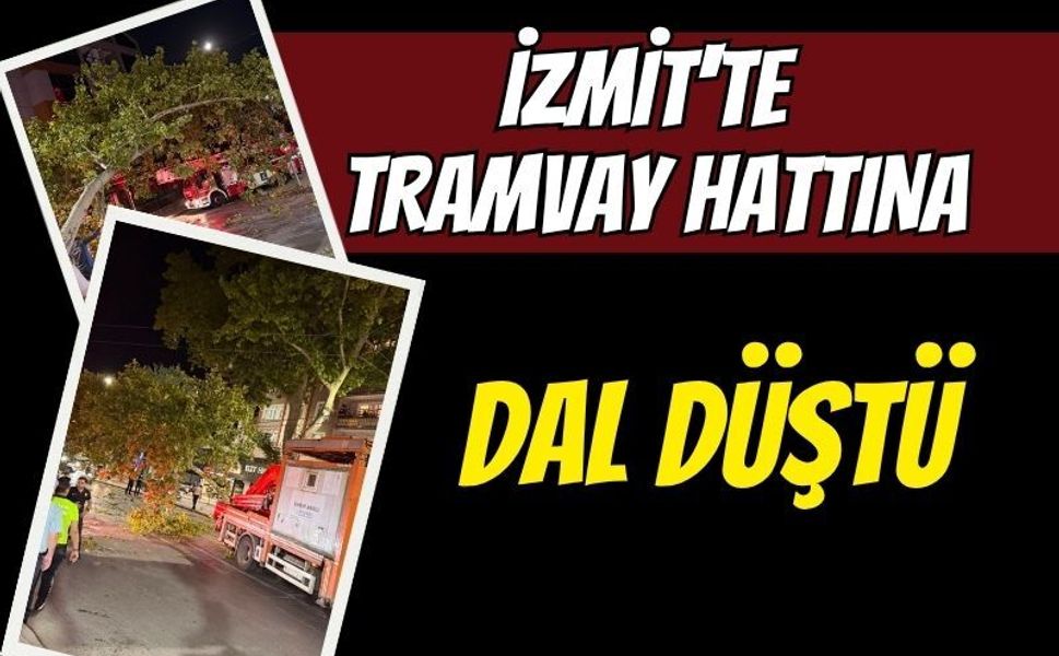 İzmit'te tramvay hattına dal düştü: Seferler aksadı