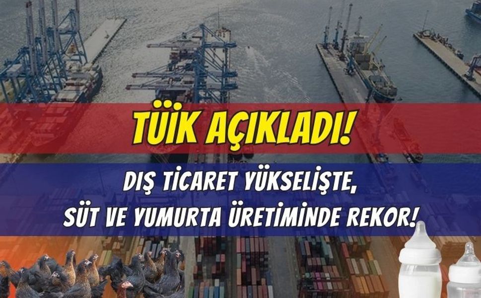 TÜİK Son Dakika: Dış Ticaret Haddi 90,1’e Yükseldi, Süt ve Yumurta Üretiminde Rekor Artış!