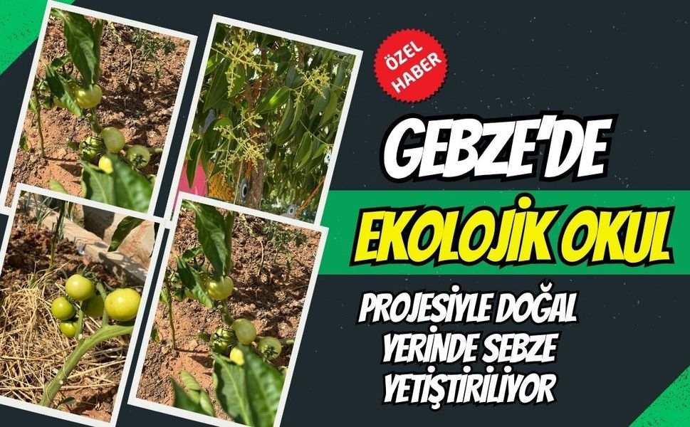 Gebze Barış Mahallesi’nde Eğitim Devrimi: 100. Yıl Ortaokulu’nda Hem Çift Yabancı Dil Hem Ekolojik Bahçe!