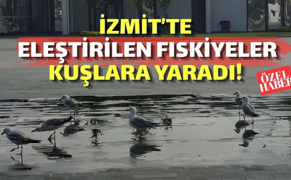 İZMİT’TE ELEŞTİRİLEN FISKİYELER KUŞLARA YARADI!