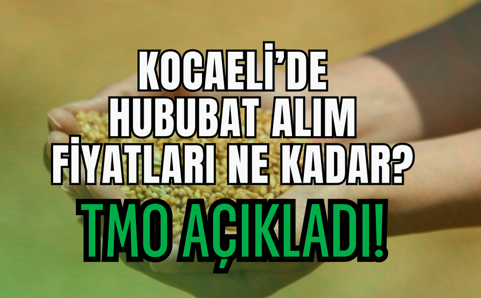 2026 Yılı TMO Hububat Alım Fiyatları Açıklandı