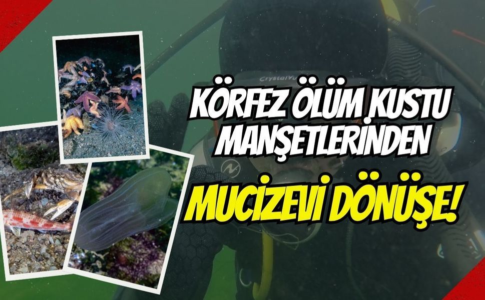 Tahir Büyükakın Paylaştı: "Körfez Ölüm Kustu" Manşetlerinden Mucizevi Dönüşe!