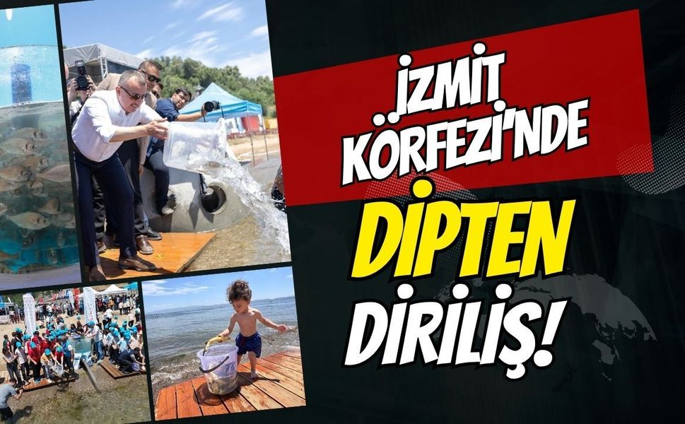 İzmit Körfezi’ne Dipten Diriliş Hamlesi: 100 Yapay Resif ve 6 Bin Değerli Balık Denize Bırakıldı!