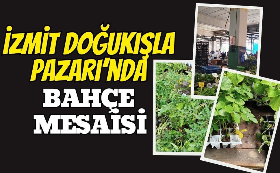 İzmit Doğu Kışla Pazarı'nda Bahçe Mesaisi: Fideler Tezgahlarda