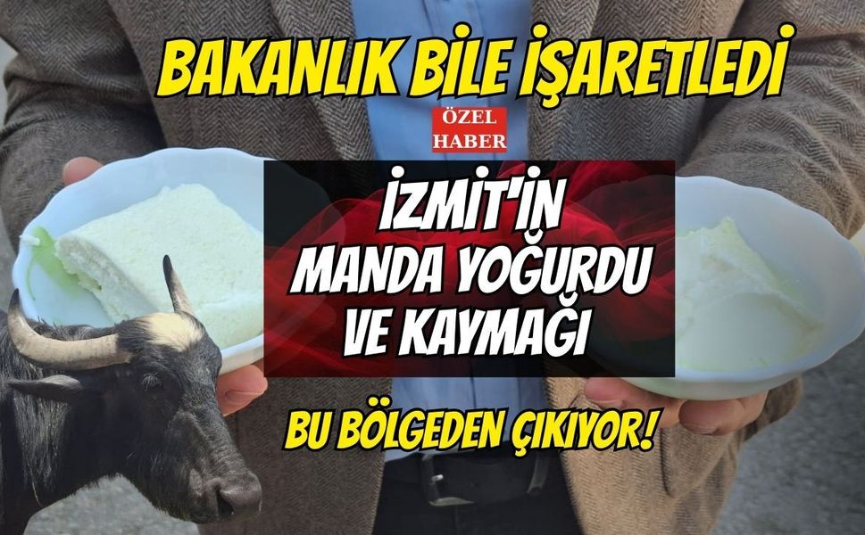 Bakanlık Bile İşaretledi: İzmit'in Manda Yoğurdu ve Kaymağı Bu Bölgeden Çıkıyor!