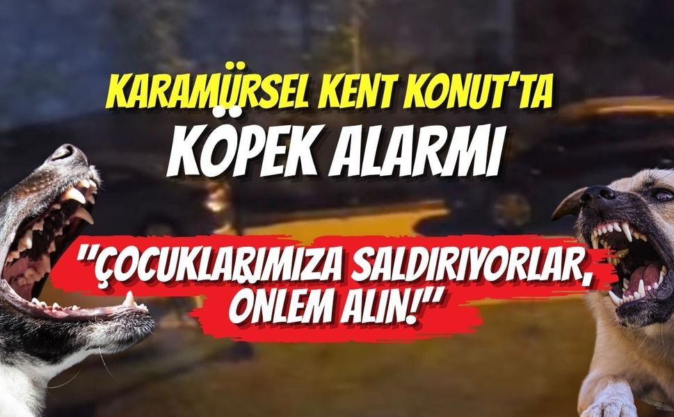 Karamürsel Kent Konut’ta Köpek Alarmı: "Çocuklarımıza Saldırıyorlar, Önlem Alın!"