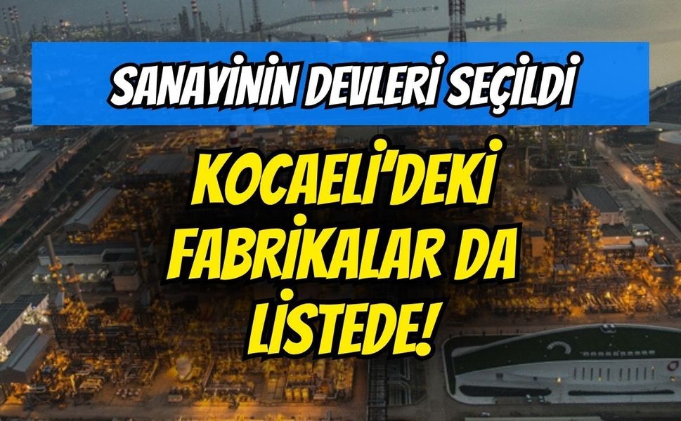 Sanayinin devleri seçildi: Kocaeli'deki fabrikalar da listede!