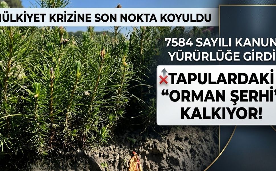 Mülkiyet Krizine Son Nokta Koyuldu: 7584 Sayılı Kanun Yürürlüğe Girdi, Tapulardaki "Orman Şerhi" Kalkıyor!