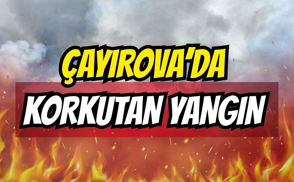 Çayırova Şekerpınar'da korkutan yeşillik alan yangını!